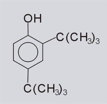 2,4-Di-tert-butylphenol 2
