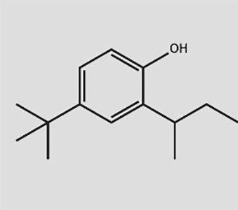 2-sec-4-tert-Butylphenol 2