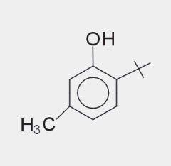 6-tert-Butyl-3-methylphenol 2